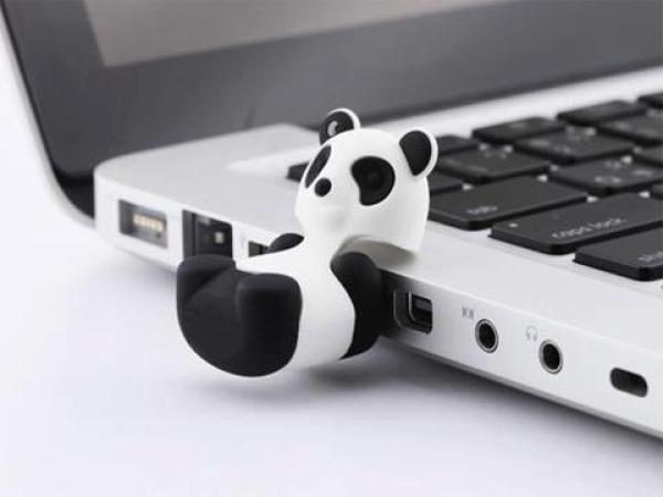 Флэш-накопитель USB2.0   4GB Bone FD-4GB/B_PANDA/W, пылезащищенный, водонепроницаемый, белый-черный, стильный дизайн