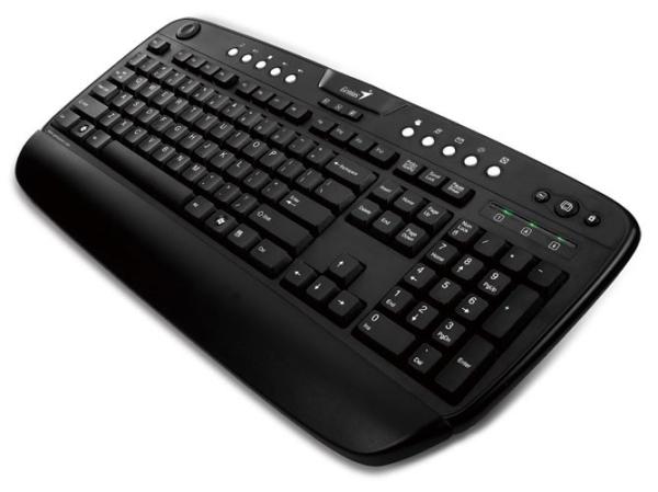 Клавиатура Genius KB-320e, USB, эргономичная, Multimedia 16 кнопок, подставка для запястий, джойстик, влагозащищенная, черный