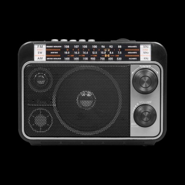 Радиоприемник Ritmix RPR-171, MP3/WMA, AM/FM/SW, USB2.0/SD/MMC, AUX/MiniJack, аккумулятор/D*2шт, черный