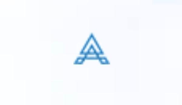 Компания Ави